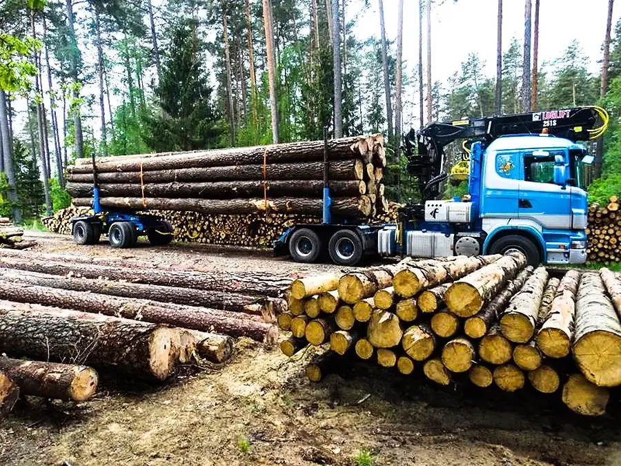 Załadunek przy szlaku zrywkowym