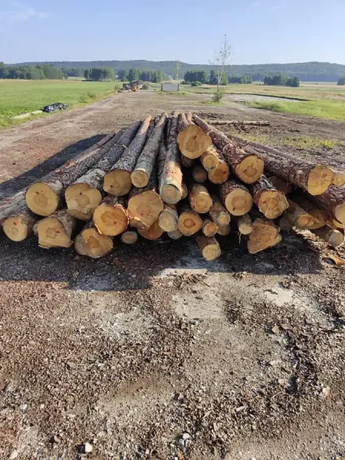 Skład drewna okrągłego