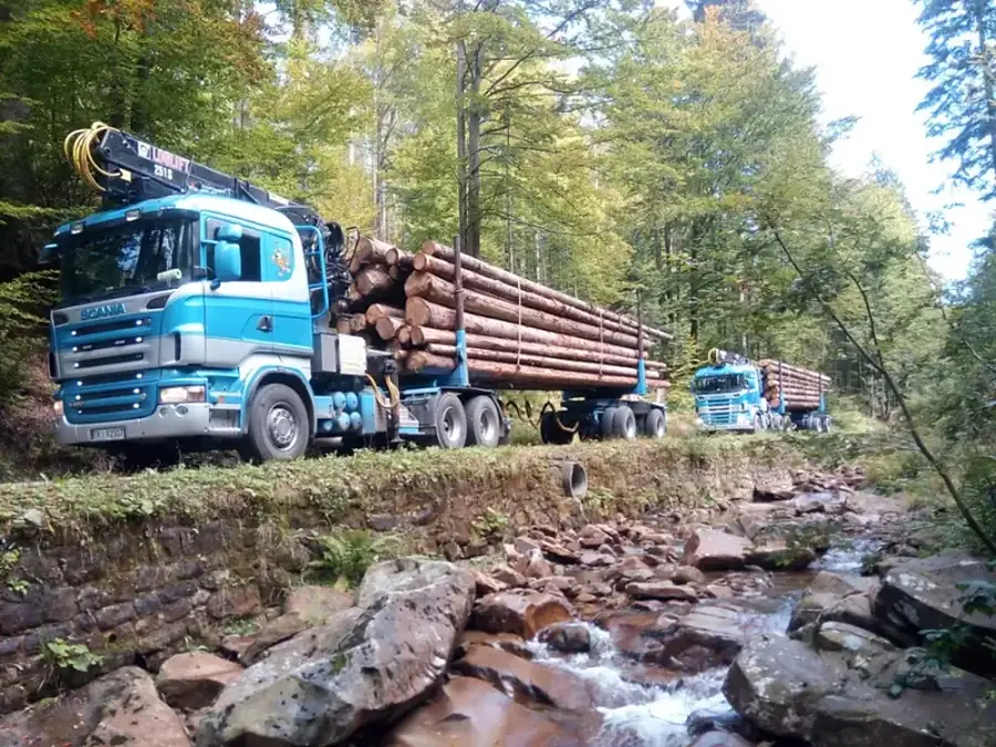 Trudny teren nie jest przeszkodą