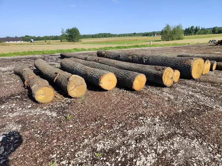 Surowiec złożony na placu